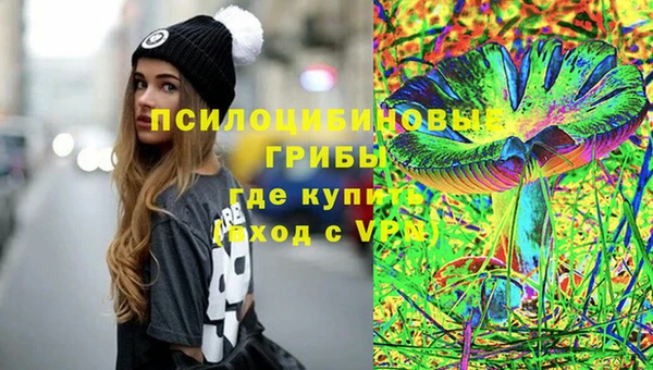 винт Горняк