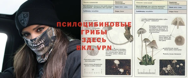 винт Горняк