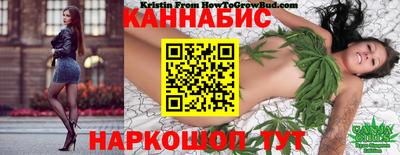 индика Ликино-Дулёво