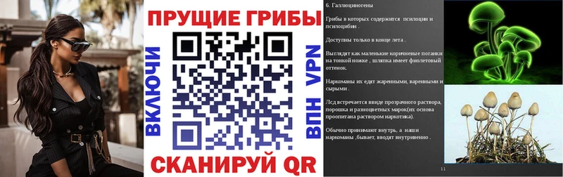 продажа наркотиков  Железногорск  Псилоцибиновые грибы GOLDEN TEACHER 