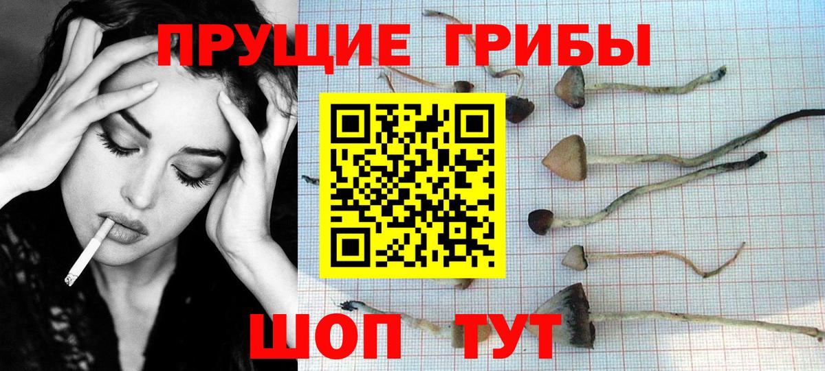 Псилоцибиновые грибы MAGIC MUSHROOMS Железногорск