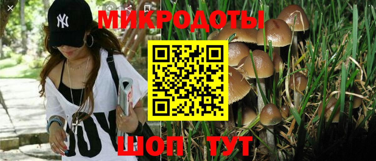 Железногорск  Псилоцибиновые грибы мицелий  Вход с VPN 